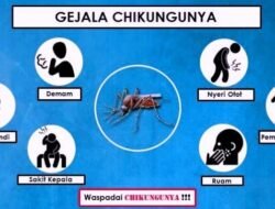 Kasus Suspek Chikungunya Melonjak Awal 2025, Jawa Barat Tertinggi