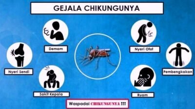 Kasus Suspek Chikungunya Melonjak Awal 2025, Jawa Barat Tertinggi