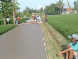 Tingkatkan Perekonomian Warga, Jalan Dusun Lungmalang Dicor Beton