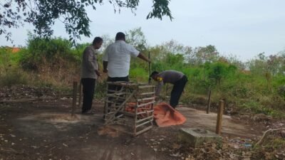 Polisi Grebek Lokasi Sabung Ayam Di Eretan Kulon