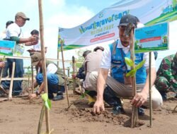 Komitmen Dukung Keberlangsungan Lingkungan, PLN NP UP Indramayu Tanam Ribuan Mangrove