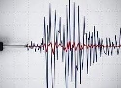Pagi Diguncang Getaran, Gempa Magnitudo 3,5 Sentak Tenggara Pernang NTB