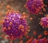 Super Flu Tak Menggila: Kemenkes Pastikan Influenza H3N2 Subclade K Terkendali