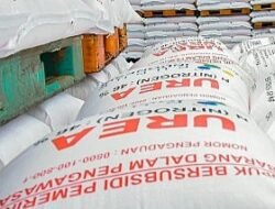 Pupuk Indonesia Pastikan Stok Pupuk Aman dan Tercukupi untuk Petani di Indramayu