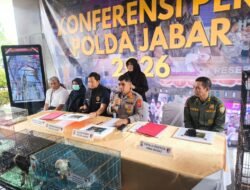 Di Balik Kandang Besi Indramayu: Polda Jabar Selamatkan 14 Elang dari Nasib Kelam