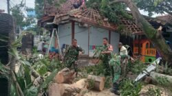 Gercep, Danramil 1601/Indramayu Bersihkan Pohon Tumbang Di Jalan Raya
