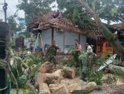 Gercep, Danramil 1601/Indramayu Bersihkan Pohon Tumbang Di Jalan Raya