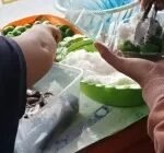 Ketan Lupis Yang Banyak di Buru Orang