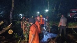 Sigap, Sinergitas TNI-POLRI Dan BPBD Evakuasi Pohon Tumbang Di Jalan Durenan