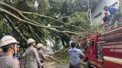 Di Balik Pohon Tumbang, Aksi Cepat Brimob Hadirkan Rasa Aman bagi Warga Bandung