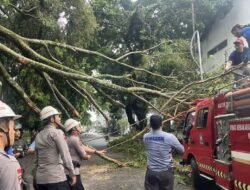 Di Balik Pohon Tumbang, Aksi Cepat Brimob Hadirkan Rasa Aman bagi Warga Bandung