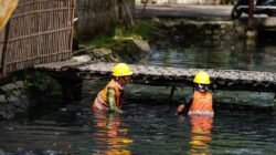 Setelah 15 Tahun Terkubur Lumpur, Saluran Talang Tembaga Akhirnya Dinormalisasi Pemkab Indramayu